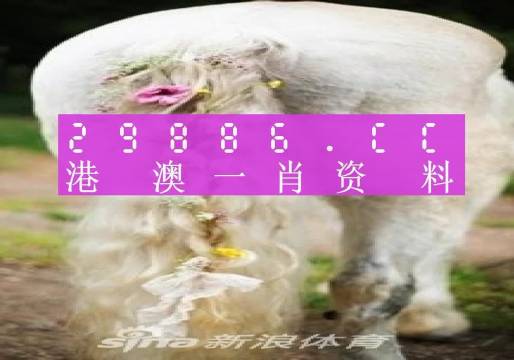 新澳门精准四肖期期准,精选资料解析大全