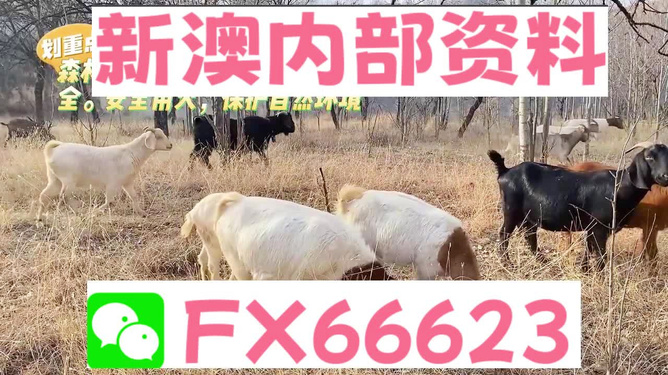 新澳2025今晚开奖资料四不像,精选资料解析大全