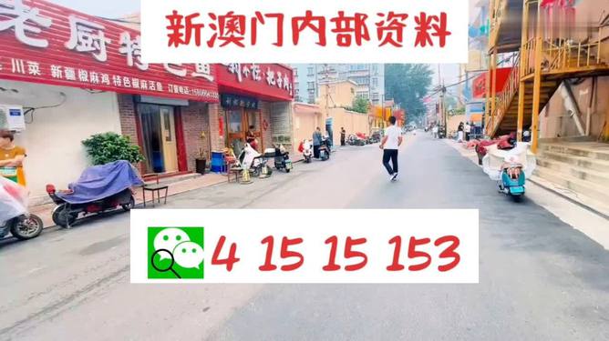 澳门天天开好彩大全53期,精选资料解析大全