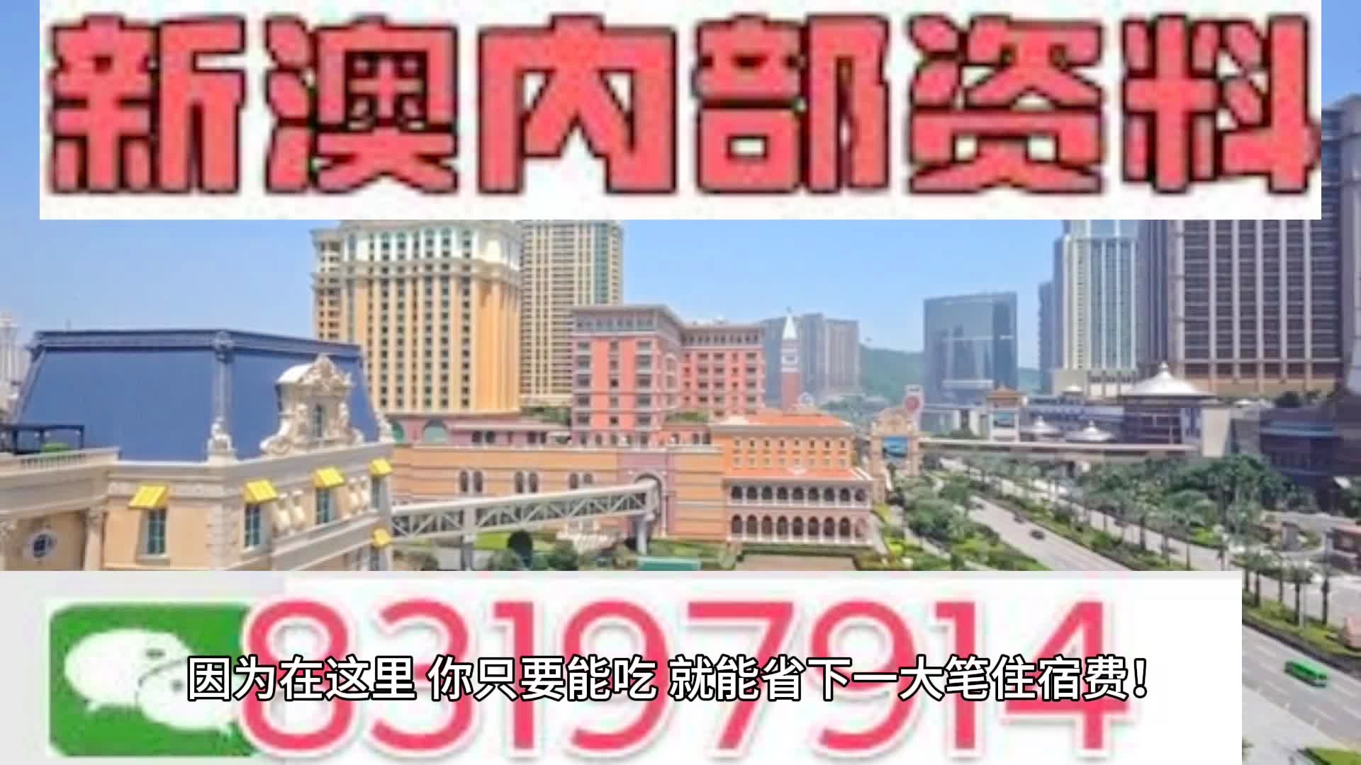 2025年的澳门全年资料,精选资料解析大全